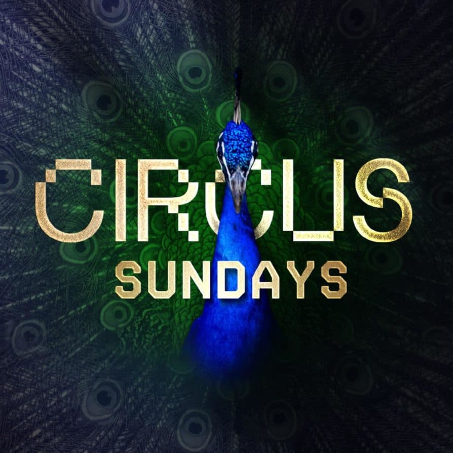 CIRCUS SUNDAYS - Sunday 7th June